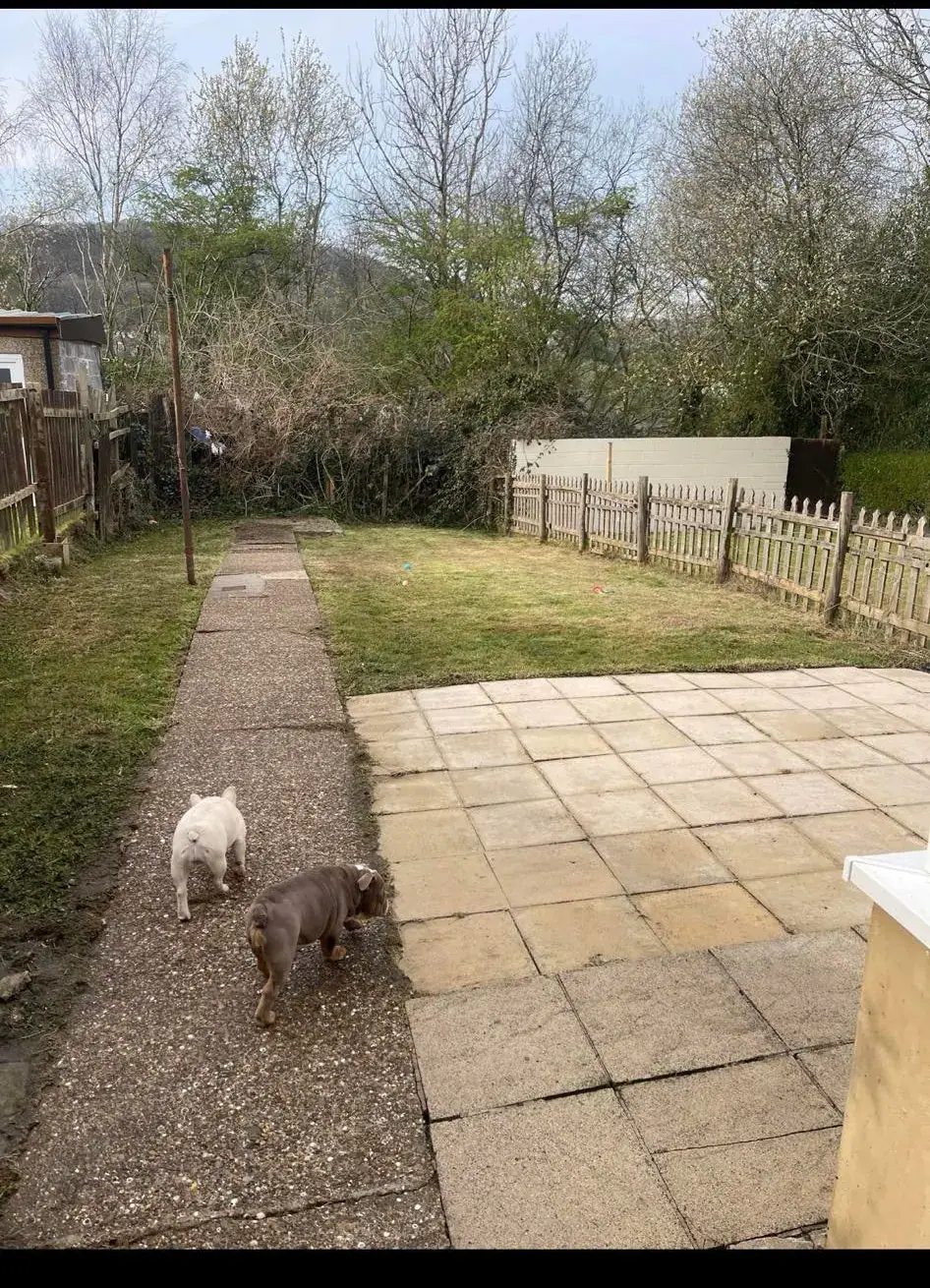 Garden seating area and paving after outdoor maintenance